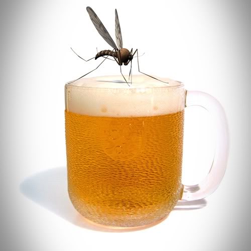 Muỗi thích người uống bia do khả năng tự vệ của con người giảm?