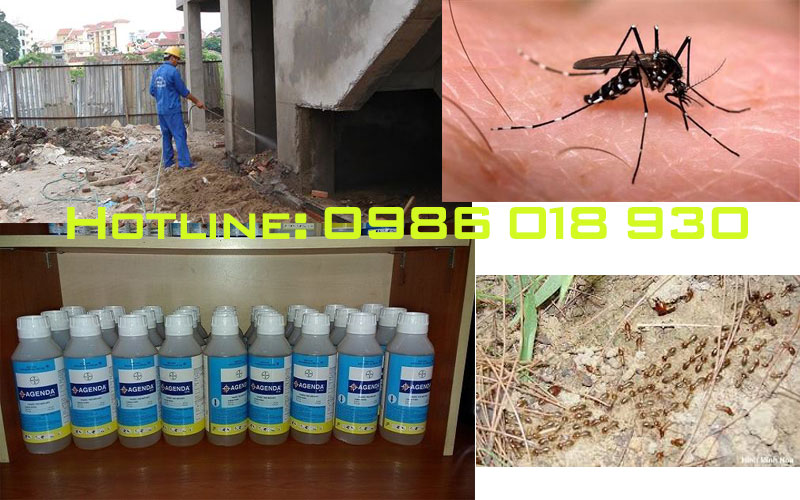 Bán thuốc diệt côn trùng tại Bến Tre 2016
