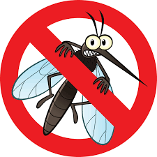Mẹo đuổi muỗi không cần dùng thuốc 