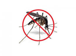 Bạn đã đuổi muỗi một cách chính xác và hiệu quả hay chưa ?