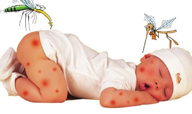 Một số tips đơn giản giúp bé nói " không " với muỗi đốt