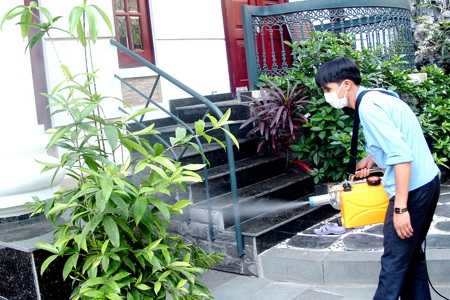 Dịch vụ diệt mối, diệt chuột tận gốc tại quận Tân Bình