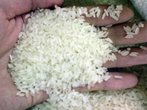 Gạo ướp bằng thuốc diệt côn trùng