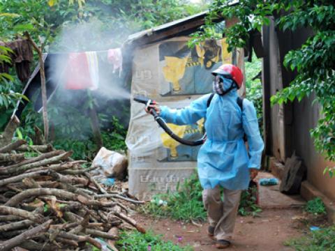 Hướng dẫn phòng muỗi sốt xuất huyết không gây độc hại