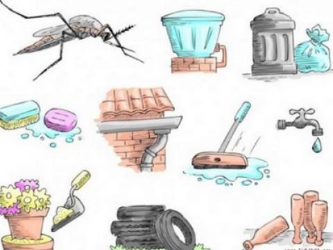 Quy tắc 10 phút - cách diệt muỗi hiêu quả