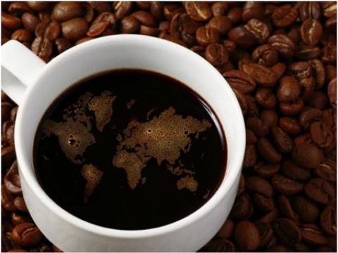 Diệt côn trùng nhờ bã cà phê, diệt mối giá rẻ năm 2015