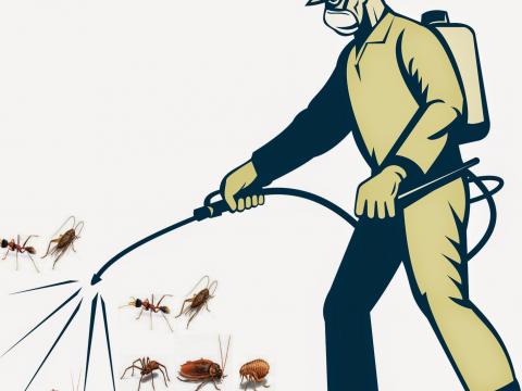 Mẹo vặt chống côn trùng, diệt côn trùng giá rẻ quận 2 năm 2015