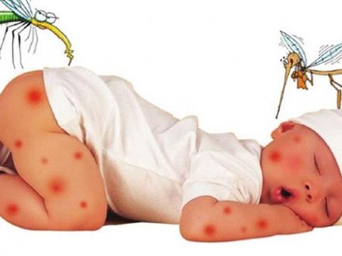 Một số tips đơn giản giúp bé nói " không " với muỗi đốt