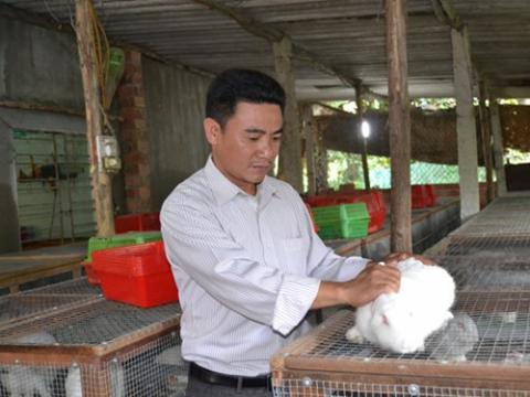 Nuôi thỏ giống nhập ngoại lãi 30 Triệu Đồng/tháng năm 2014
