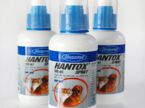 Giới thiệu thuốc diệt ve chó Hantox Spray 2016