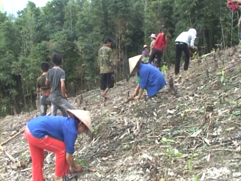 Giai đoạn từ 2016-2020, tỉnh Hà Giang phấn đấu trồng 16 nghìn ha rừng
