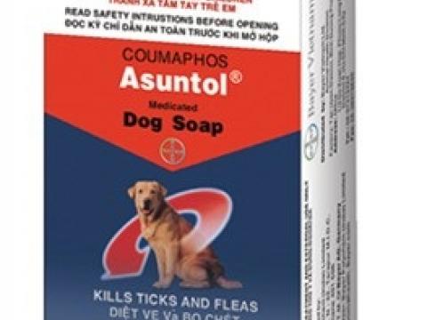 Giới thiệu xà phòng trị ve chó Asuntol